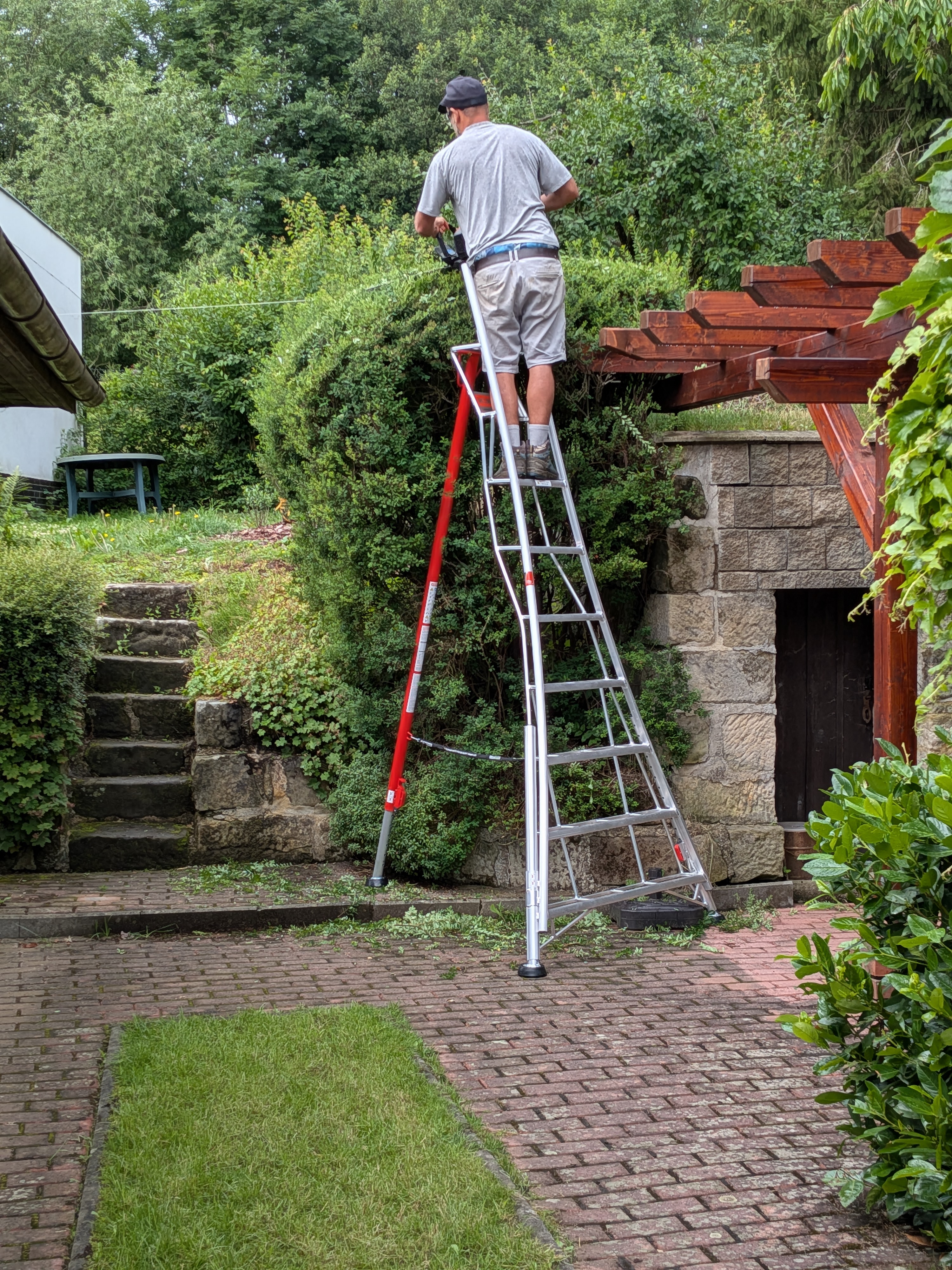 Odborný řez vysokého živého plotu ze stabilního žebříku