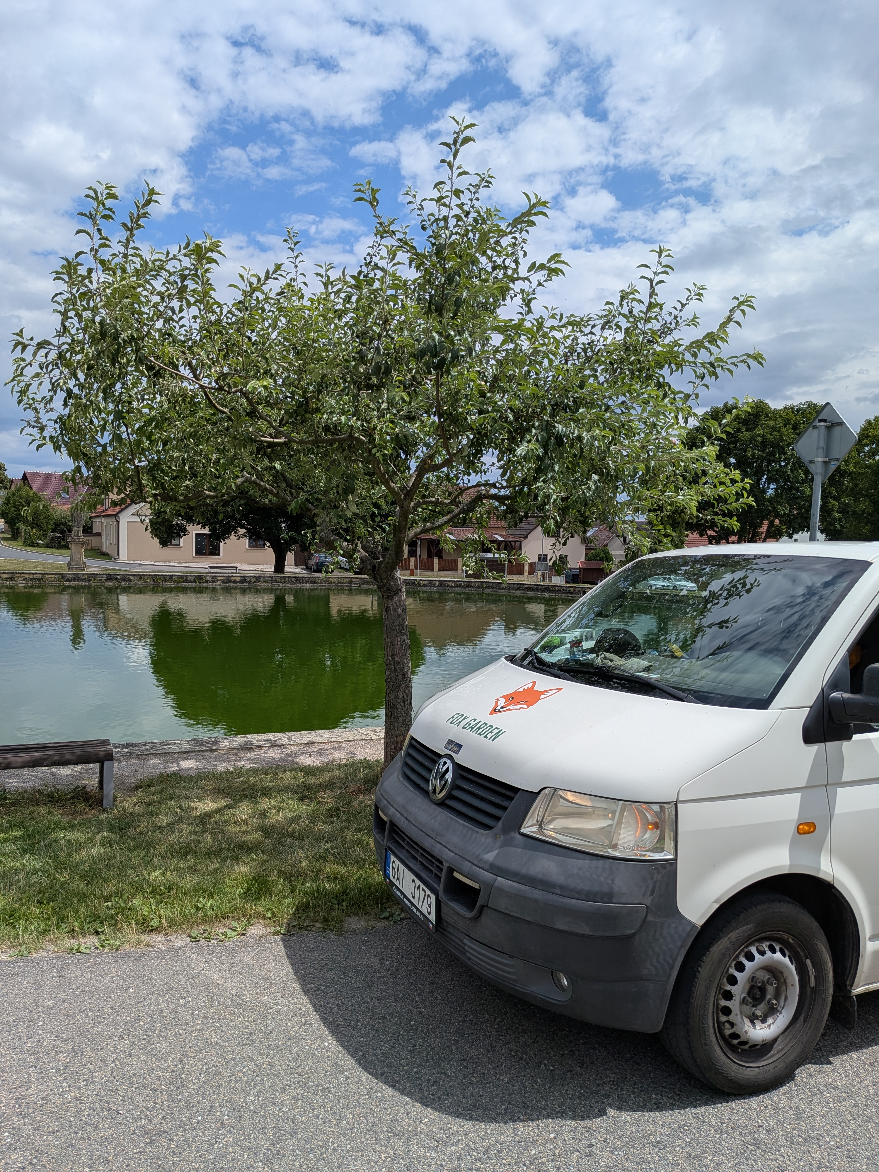 Odborný řez a péče o ovocné stromy