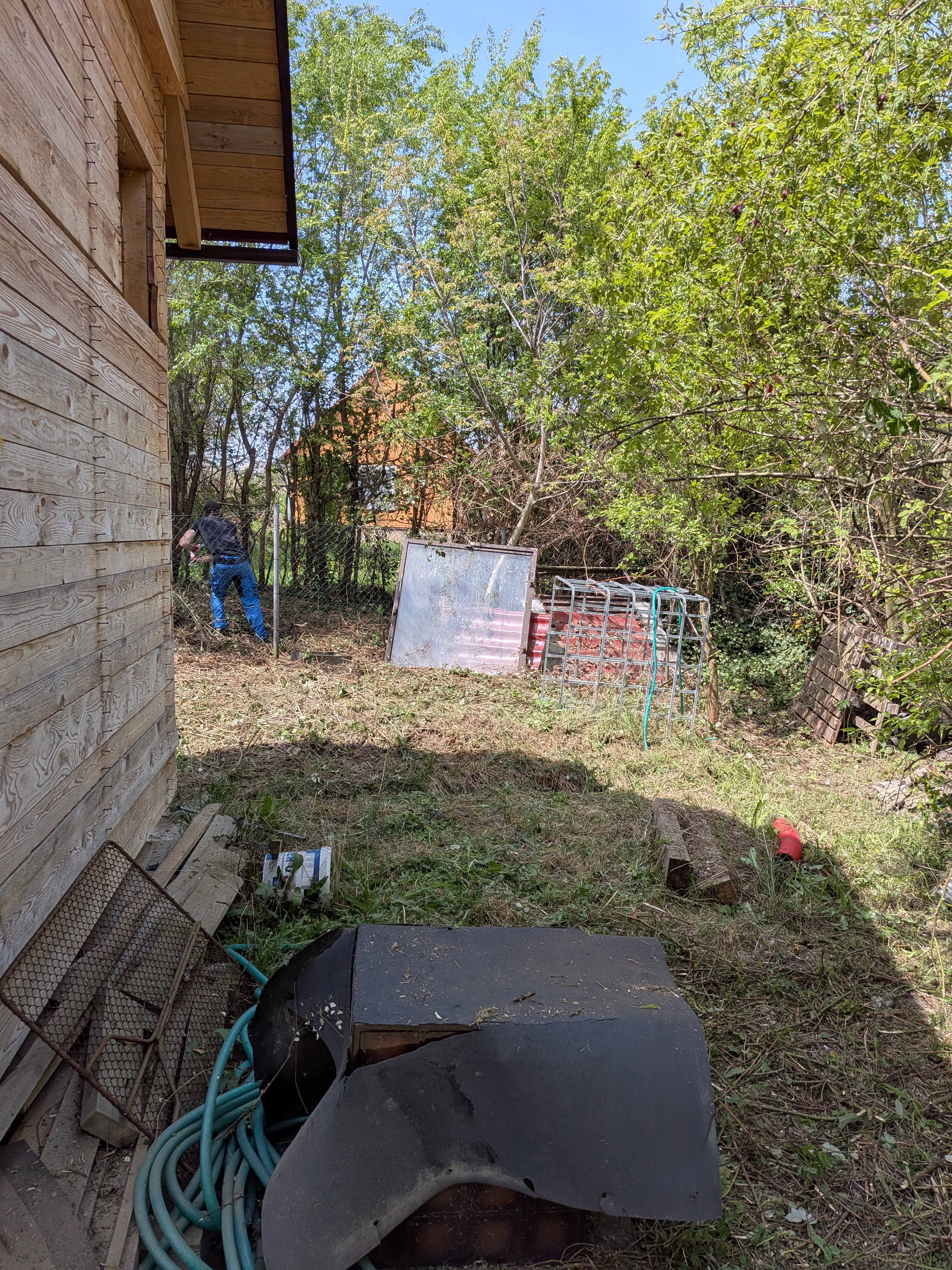 Proměna 2
